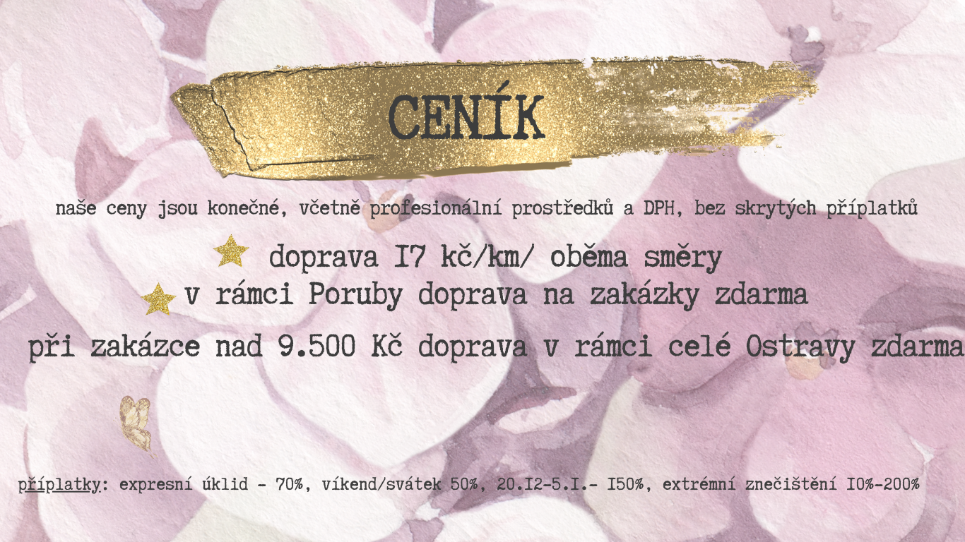 baner web (Web) (49)